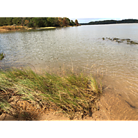 King tide Williamsburg in James city County image